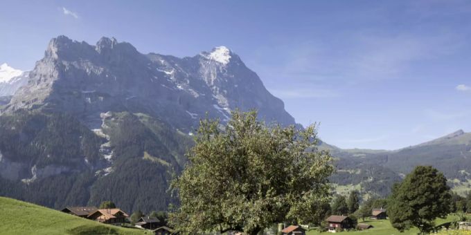 Der Eiger in Grindelwald. Das Dorf zählt zur Jungfrauregion. Quantität