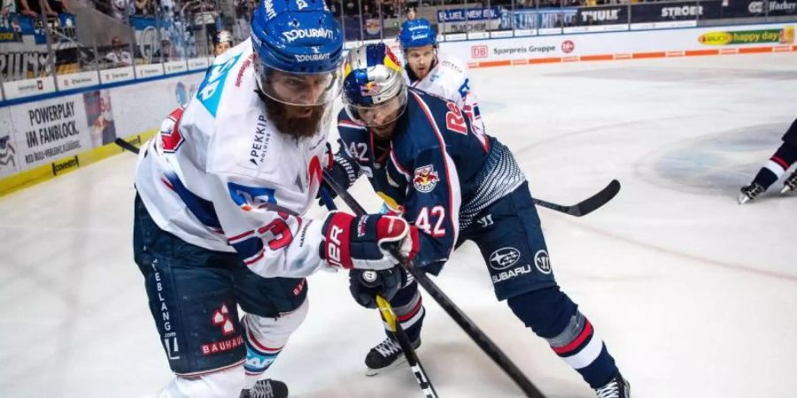 Die Adler Mannheim und der EHC Red Bull München sind die Favoriten auf den DEL-Titel. Foto: Sina Schuldt