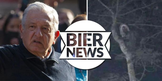 Wegen Foto - Mexikos Präsident will Beweise für Elfen-Existenz haben