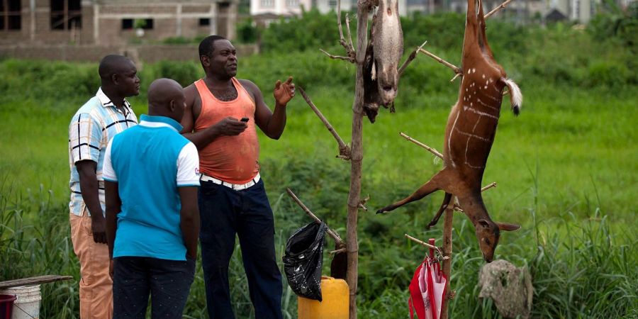 Ein Wildfleischhändler im Gespräch mit potenziellen Kunden im ölreichen Bundesstaat Bayelsa.