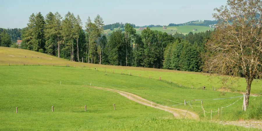 Landschaft in der Gemeinde Waldstatt.