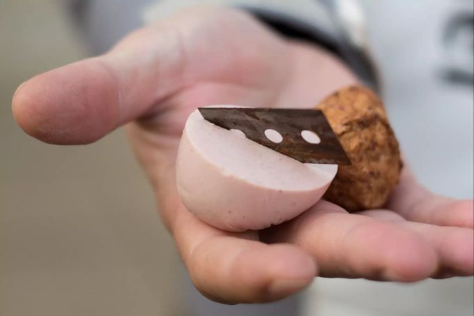 Ein typischer Giftköder ist ein mit einer Rasierklinge präpariertes Stück Fleischwurst. Hand hält Stück Fleischwurst mit Rasierklinge