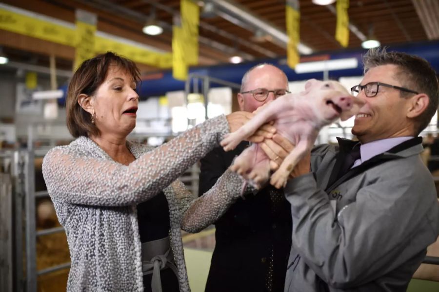 Im Jahr 2017 versucht Doris Leuthard ihr Glück, ein schönes Foto mit dem Schweinchen zu machen.