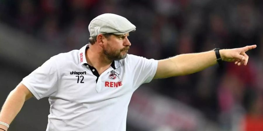Die Schiebermütze von Kölns Trainer Steffen Baumgart wurde zum Verkaufsschlager. Foto: Marius Becker/dpa