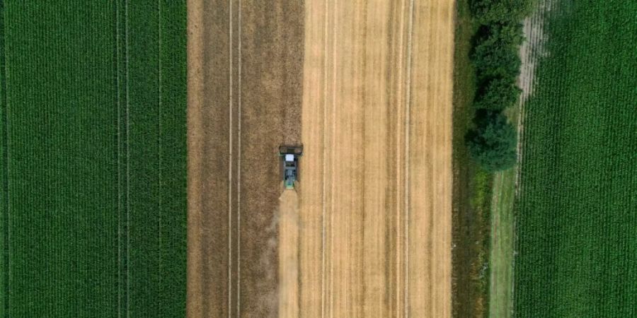 Bauer auf einem Feld in Nordrhein-Westfalen