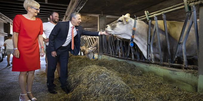 Zeigte keine Berührungsängste: Bundespräsident Ignazio Cassis machte in Knonau einen Abstecher in den Stall. Zeigte keine Berührungsängste: Bundespräsident Ignazio Cassis machte in Knonau einen Abstecher in den Stall.