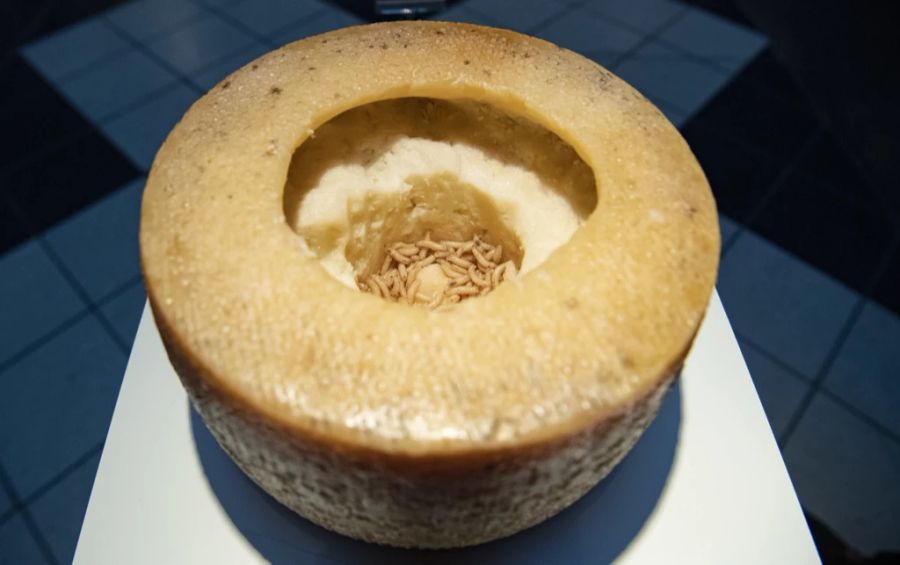 Casu Marzu