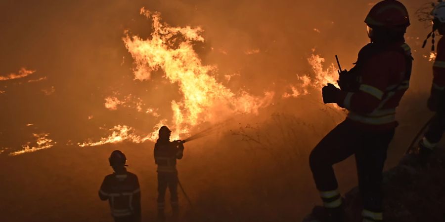 Vor allem Portugal kämpft derzeit wegen der Trockenheit mit Waldbränden.