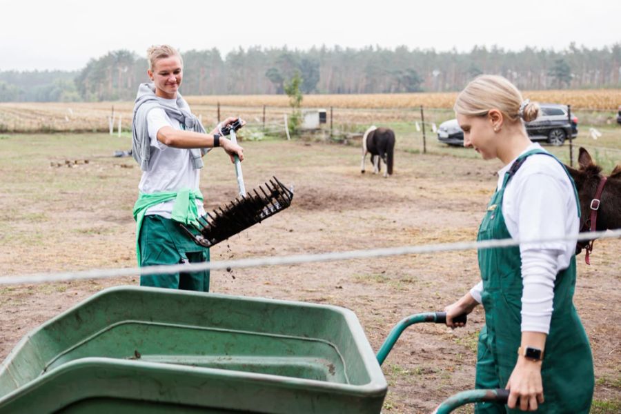 Denn: Immer mehr Menschen, vor allem Frauen, besuchen auch ohne landwirtschaftlichen Hintergrund die Bäuerinnenschule. (Symbolbild)