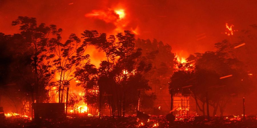 Das Feuer verbrennt ein Haus im Dorf in der Nähe der Stadt Alexandroupolis in der nordöstlichen Region Evros. Stürmische Winde fachen die Flammen der Waldbrände in ganz Griechenland an.