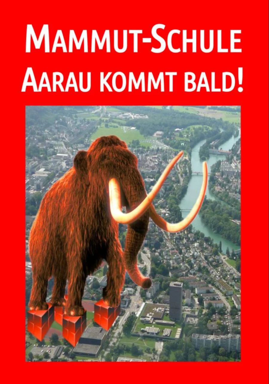 aarau mammut-schule