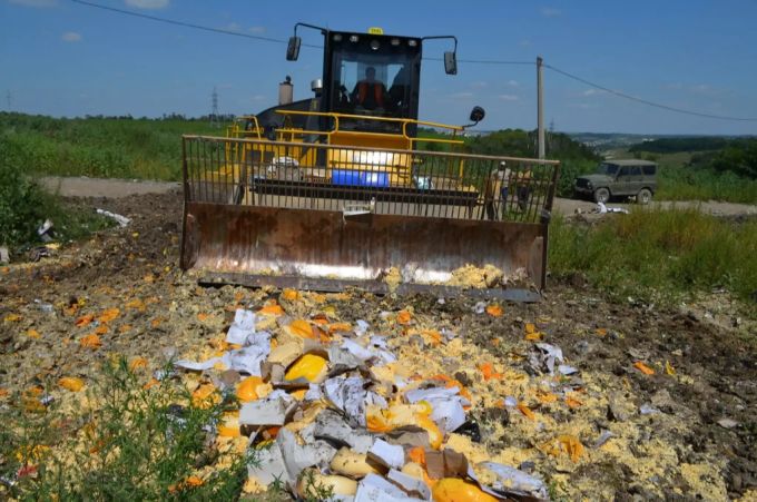 «Illegaler» Käse wird auf einem Feld in Russland vernichtet. Russland