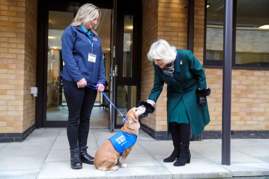 Camilla hat mit ihrer Hunde-Dame Beth eine neue Sektion in einem Heim für Katzen und Hunde eröffnet.
