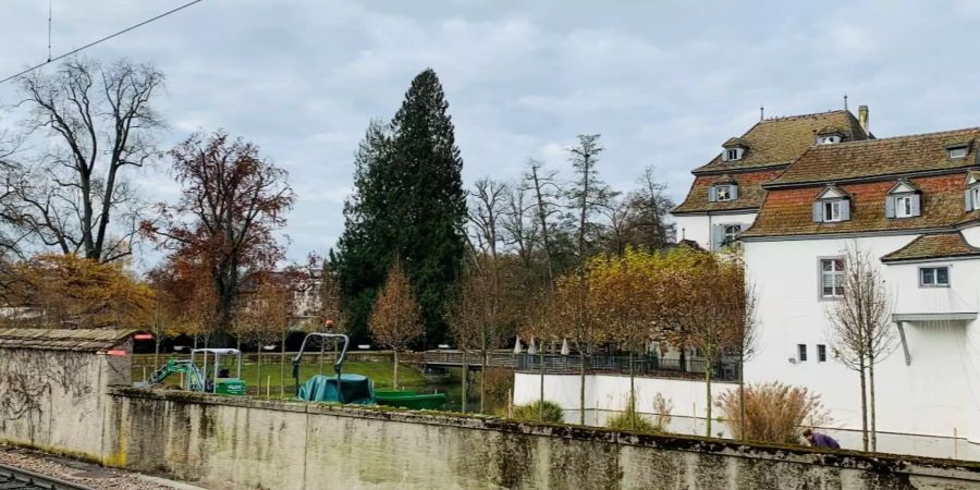 Umbauarbeiten im Schlosspark