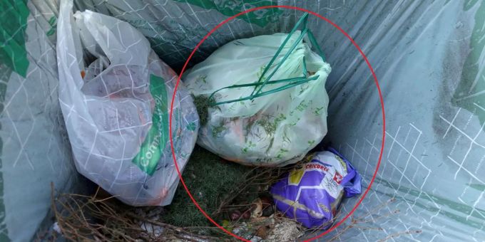 Grüngut mit kompostierbaren Säcken und Kunststoffverunreinigung Abfallstatistik