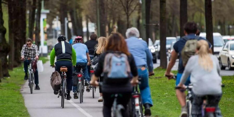 Laut ADAC erfüllt rund jeder dritte Radweg erfüll nicht einmal die jeweilige Mindestbreite. Foto: Lino Mirgeler/dpa