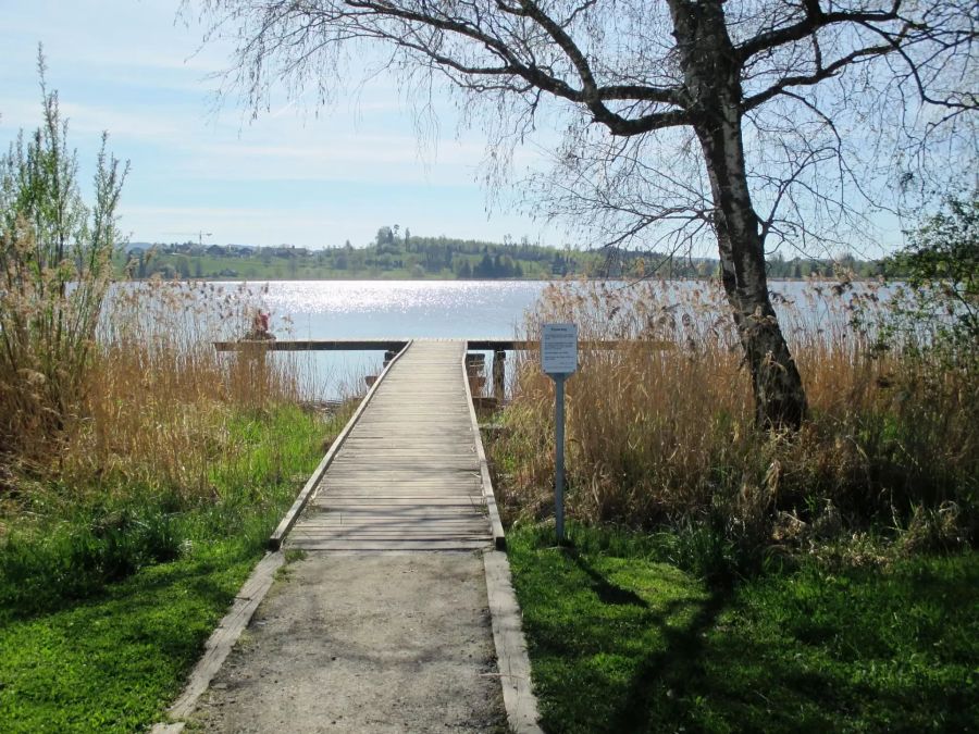 Pfäffikersee Wanderung