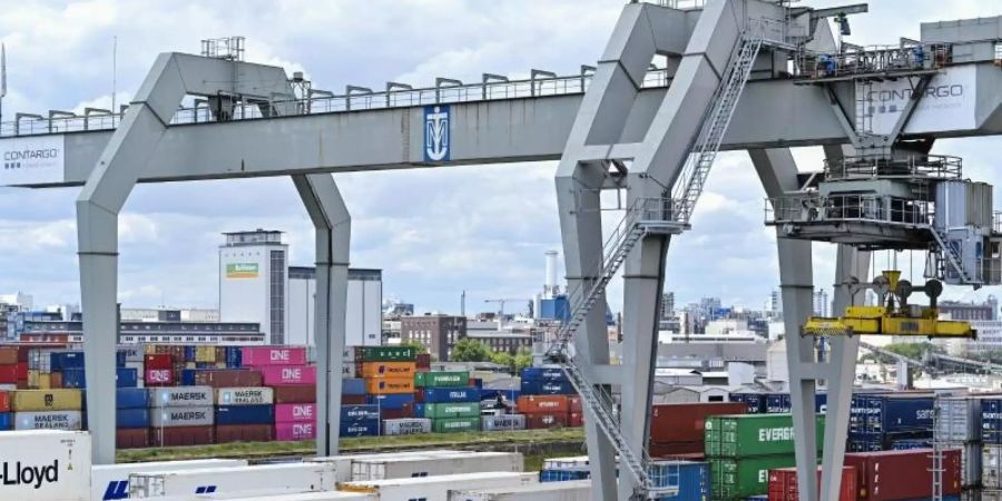 Ein Kran verlädt Container im Handelshafen des Rhein-Neckar-Hafens. Foto: Uwe Anspach/dpa