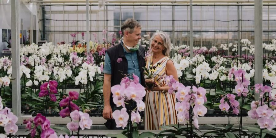 Meyer Orchideen AG