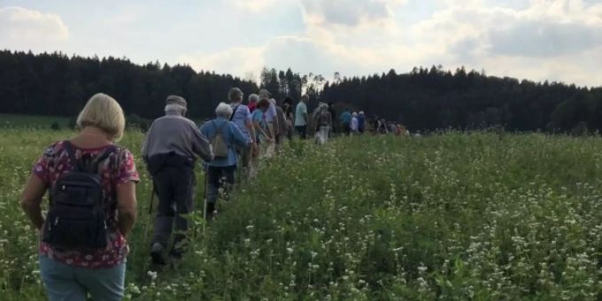 Grenzumgang: Zollikons Nord-West-Grenze.