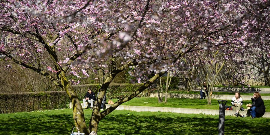 Frühlingsbeginn