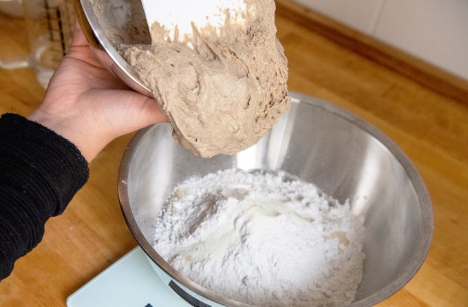 Der Vorteig kommt in die Schüssel mit dem Roggenmehl und wird zum Hauptteig gemacht. Schüssel Roggenmehl Teig Vorteig Hände Waage