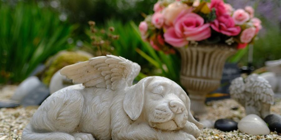 Auf sogenannten Streubeeten können Besitzer im niedersächsischen Badbergen die Asche ihrer verstorbenen Tiere ausstreuen.