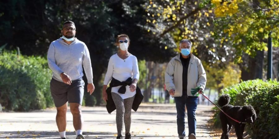 Menschen mit Schutzmaske im Park