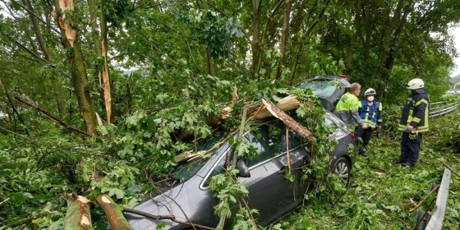 Im rheinland-pfälzischen Braubach krachte ein Baum auf ein geparktes Auto. Foto: Thomas Frey/dpa