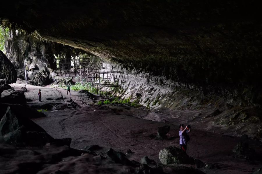 Tropische Höhlen wie hier in Sarawak (Malaysia) sind im Vergleich zu europäischen sehr warm und extrem artenreich. Fledermäuse und Vögel bringen hier Tag für Tag tonnenweise organisches Material in die Höhle.