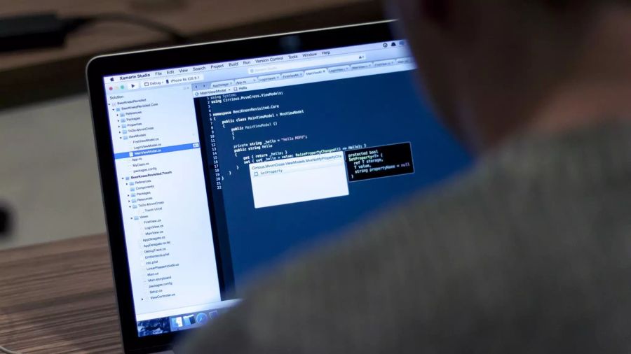 Hintertür Hacker