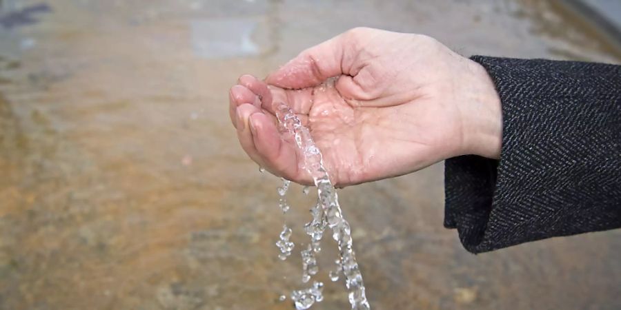 Der Nationalrat will das Gewässerschutzgesetz anpassen, damit synthetische Pestizide, die das Trinkwasser belasten, aus dem Verkehr gezogen werden können. (Themenbild)