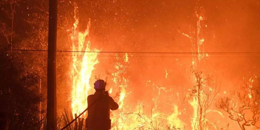 Unweit von Sydney haben sich mehrere Buschbrände zu einem "Mega-Feuer" vereint. Foto: Dan Himbrechts/AAP/dpa