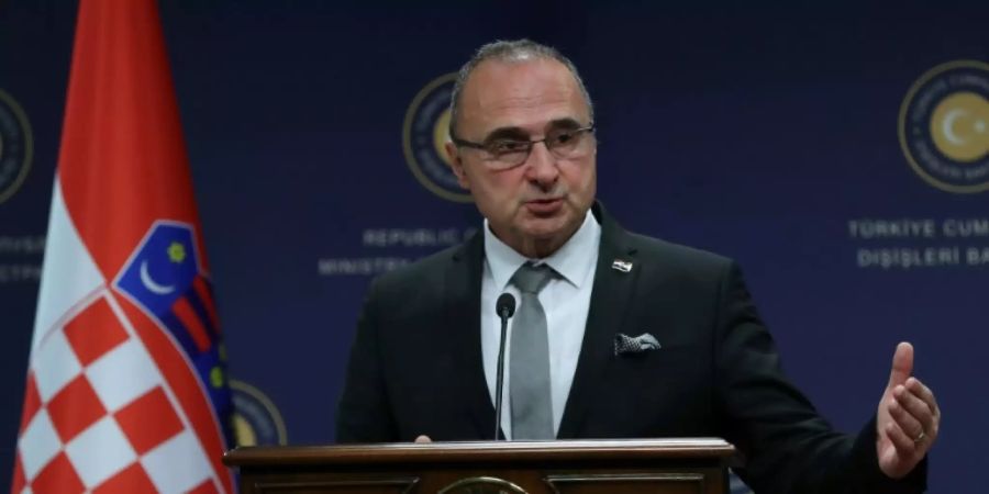 Kroatiens Aussenminister Gordan Grlic Radman