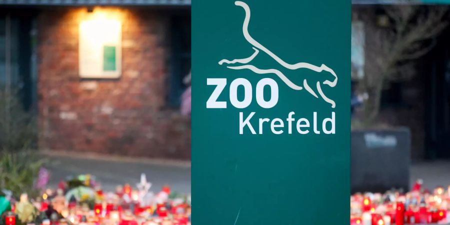 Nach Brand Krefelder Zoo