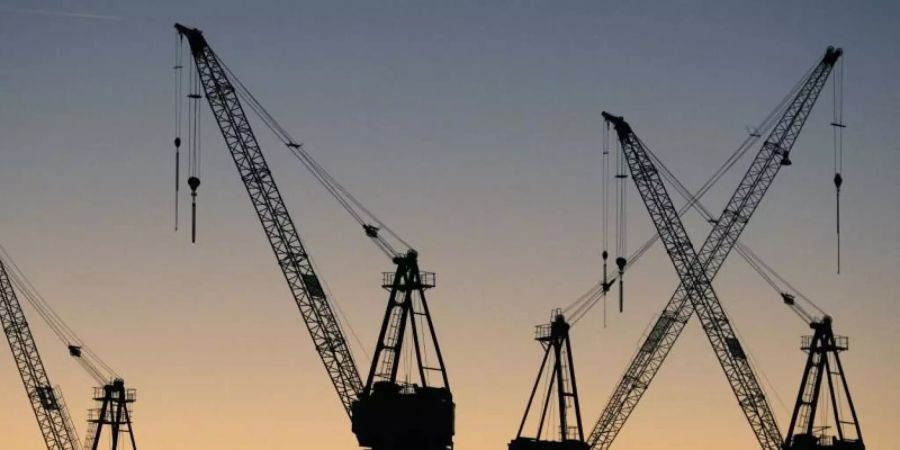 Die Silhouetten von Hafenkränen in Hamburg. Foto: Sebastian Widmann