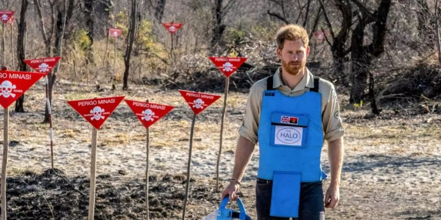 Prinz Harry auf geräumten Minenfeld in Angola