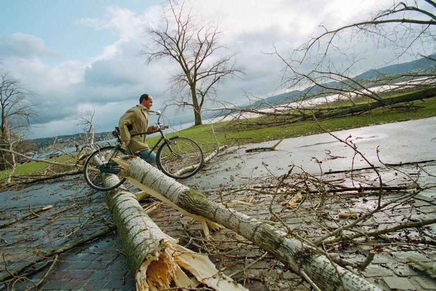 Umgeknickte Bäume an der Seepromenade in Zürich, Sonntag, 26. Dezember 1999.