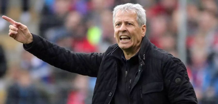 BVB Lucien Favre