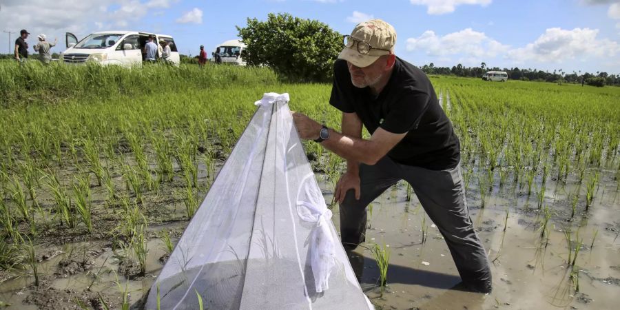 Zanzibar Drones Fight Malaria