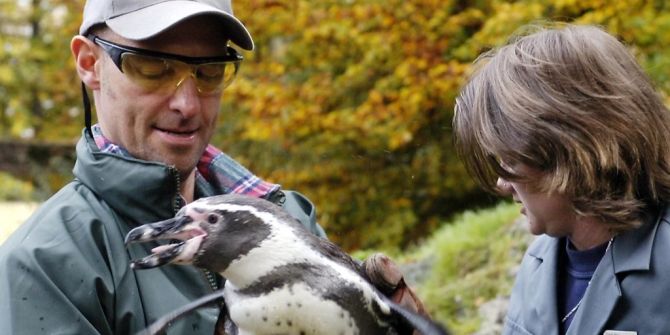 Tierpark Dählhölzli Bern