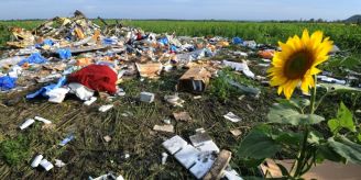 MH17-Abschuss - Auch UN-Luftfahrtsrat macht Russland verantwortlich