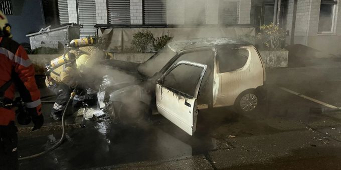 Muttenz BL - Fahrzeugbrand erfordert Feuerwehreinsatz. Muttenz BL