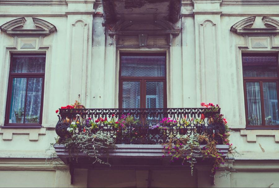 Blumen, Balkon