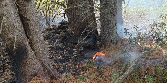Zur Bekämpfung des Feuers wurde Swiss Helikopter zur Unterstützung aufgeboten. Kantonspolizei Graubünden
