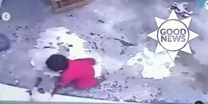 Good News - Video zeigt: Katze rettet Baby vor Sturz von der Treppe