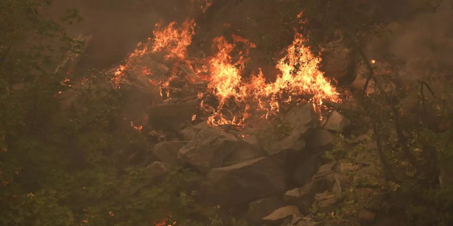 Die Dixie Fires in Kalifornien geraten ausser Kontrolle.