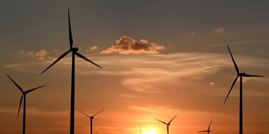 Windpark in Briesensee in Brandenburg