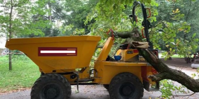 Baufahrzeug bleibt an Baum hängen. Herunterfallender Ast verletzt Lenker. basel stadt