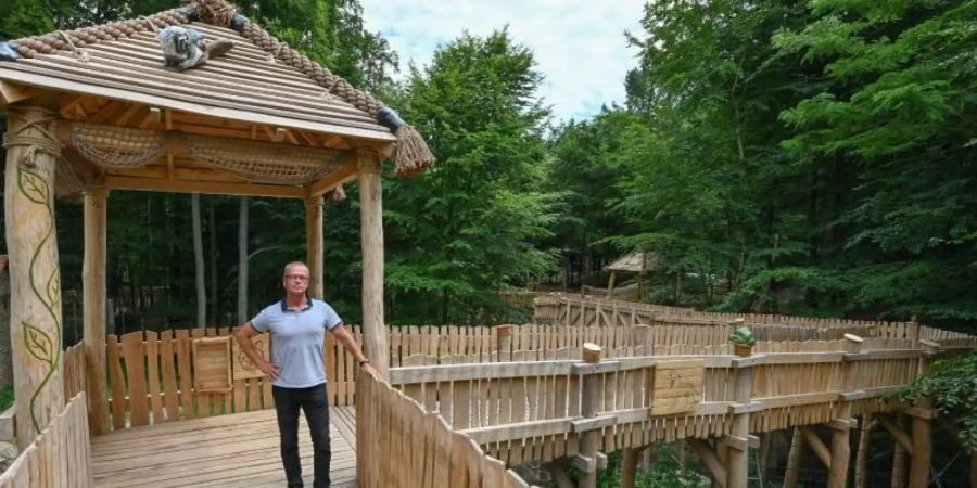Bernd Hensch, Direktor vom Zoo Eberswalde, steht auf dem neuen hölzernen Erlebnispfad hoch über den Tiergehegen. Foto: Patrick Pleul/dpa-Zentralbild/ZB